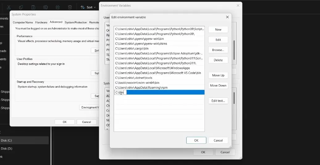 Environment Variable